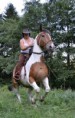 /album/fotogalerie-natural-horsemanship/a71f938b9c26a2a77f4539a512b19809c-jpg/