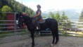 /album/fotogalerie-natural-horsemanship/a20160629-170948-jpg/