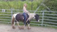 /album/fotogalerie-natural-horsemanship/a20160706-170145-jpg/