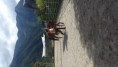 /album/fotogalerie-natural-horsemanship/a20160715-162809-jpg/
