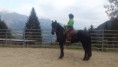 /album/fotogalerie-natural-horsemanship/a20161013-152915-jpg/