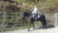 /album/fotogalerie-natural-horsemanship/a20161016-125325-jpg/