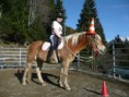 /album/fotogalerie-natural-horsemanship/fb-img-1479233185288-jpg1/